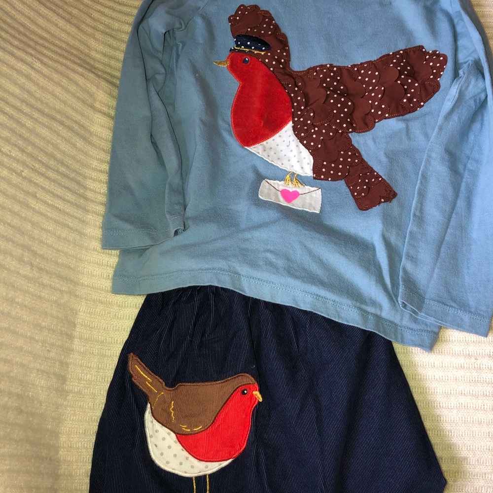 Mini Boden Red Robin Skirt & Appliqué Shirt Set